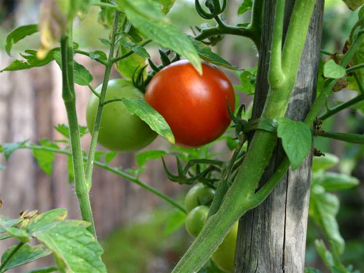 Регулярное очищение инструментов и оборудования от пыли