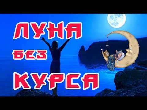 Как вести записи и анализировать свой урожай без астрологических привязок