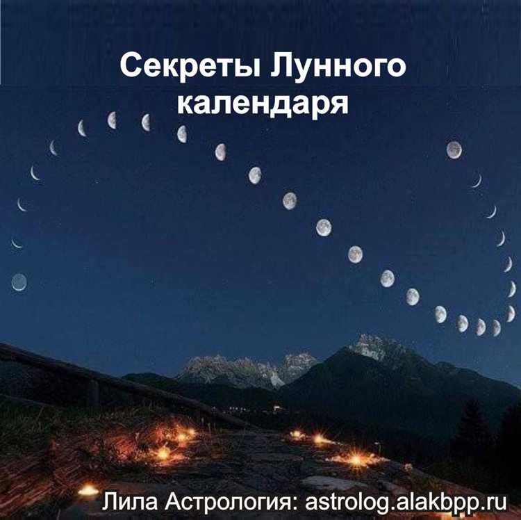 Кто нибудь сажает без лунного календаря