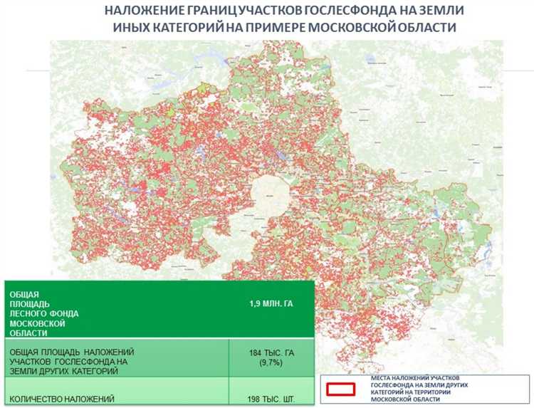Лесная амнистия в Московской области: правила и особенности