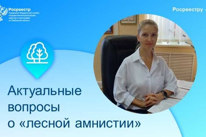 Кто имеет право на участие в лесной амнистии в Московской области