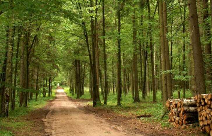 Как происходит оформление права собственности на землю после амнистии