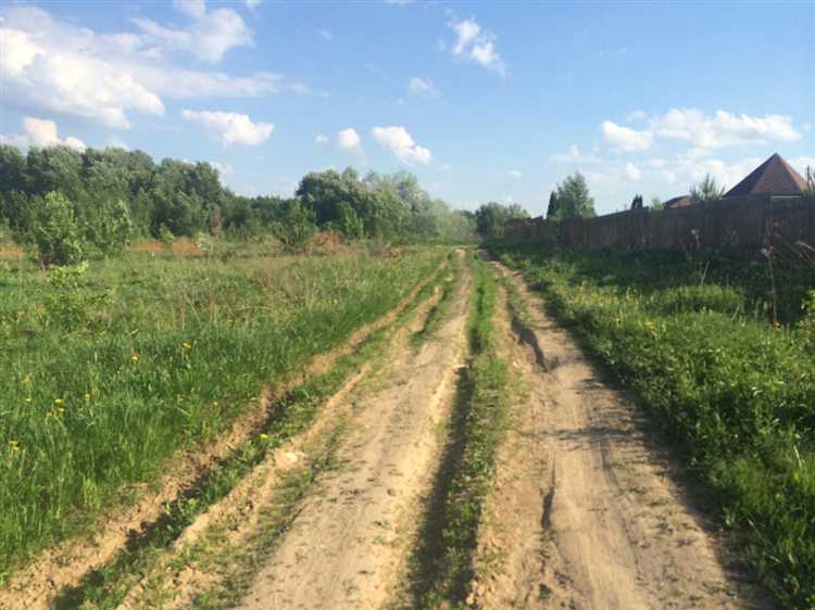 Сроки действия лесной амнистии и важные даты для заявителей