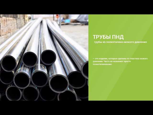 Что означает аббревиатура ПНД и как расшифровывается