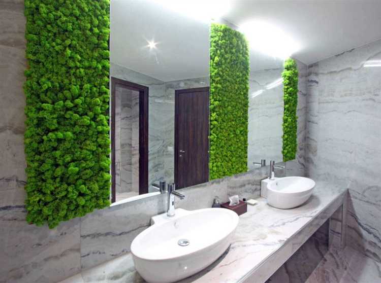 Мох в квартире чем опасен