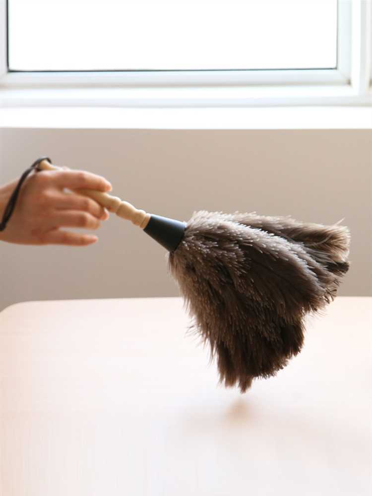 Как подобрать мебель под освещение, чтобы скрыть пыль