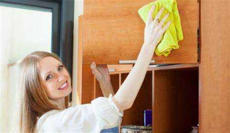 Материалы поверхностей, на которых меньше заметна пыль