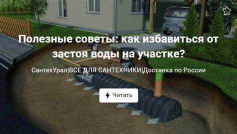 Методы сбора дождевой воды для полива и бытовых нужд