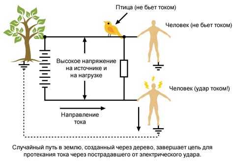 Роль влаги в дереве и ее связь с электрической проводимостью
