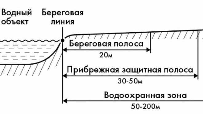 Роль растительности в формировании и сохранении прибрежной защитной полосы
