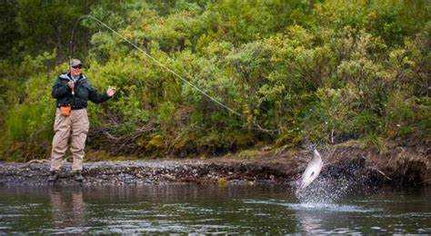 Влияние ширины защитной полосы на сохранение экосистемы реки