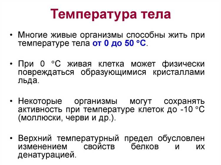 Температурные нормы для прохладных напитков и еды