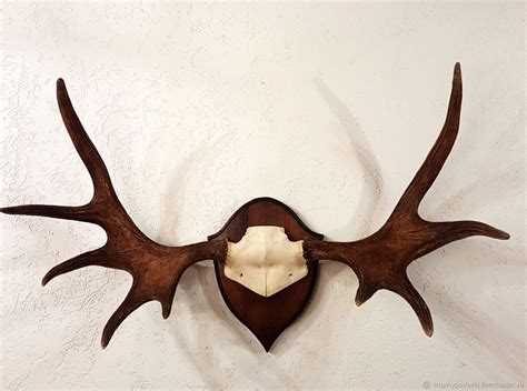 Как выбрать рогожу в зависимости от типа помещения