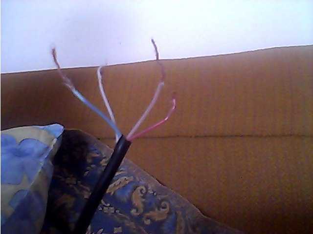 Определение полярности розового провода мультиметром