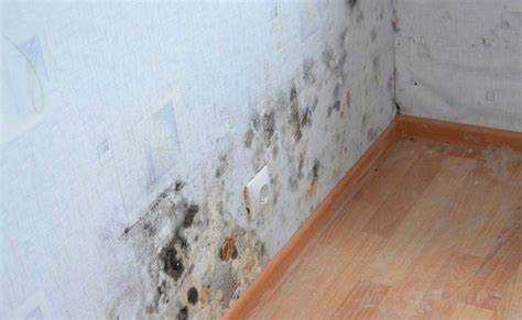 Как предотвратить повторное появление сырости после ремонта