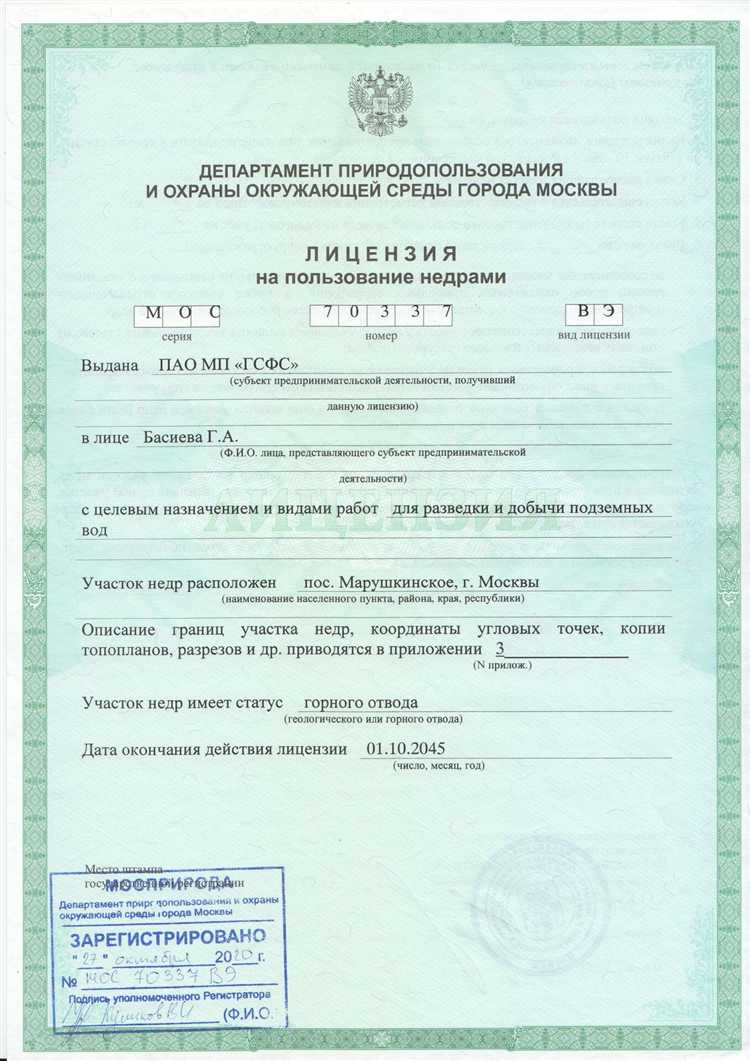 Варианты оплаты лицензии: пошлина, госпошлина и иные сборы