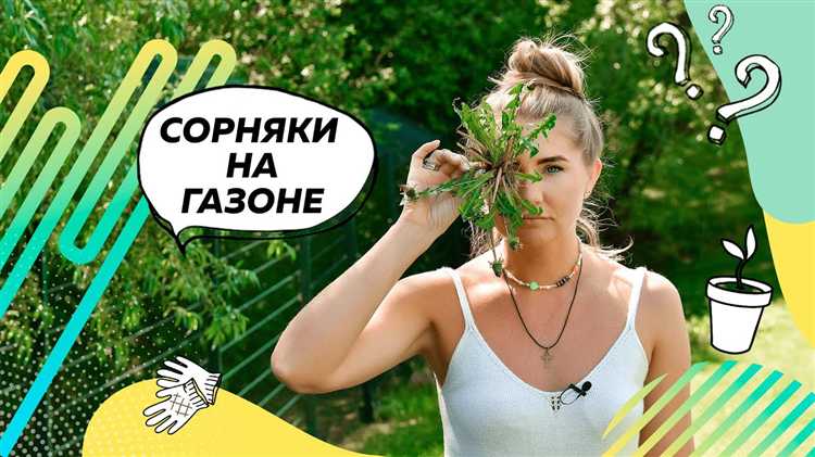 Сорняки растут быстрее чем газон дуолинго