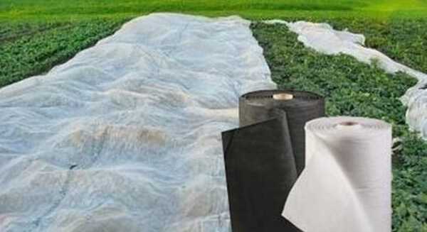 Поведение материалов при длительном контакте с почвой и водой