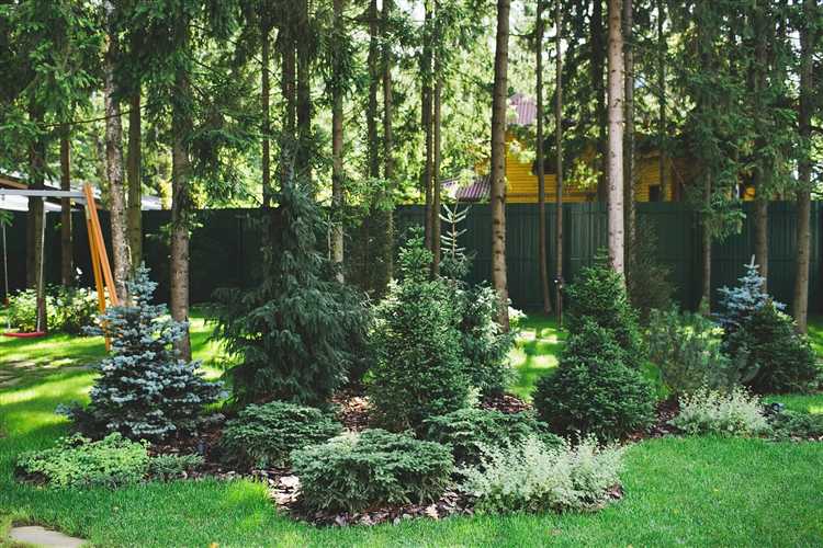 Как проложить подъездную дорогу в лесной местности