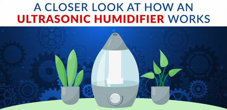 Выбор подходящего увлажнителя для личных нужд