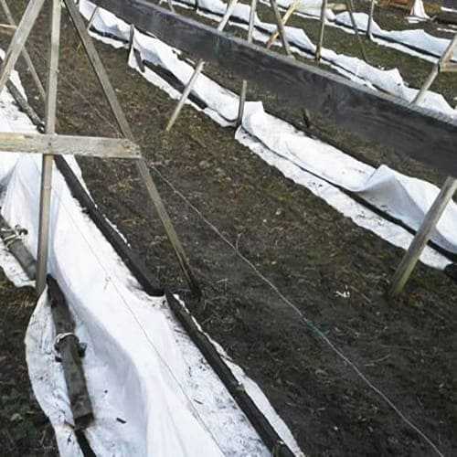 Выбор фиксаторов: штифты, анкеры и скобы