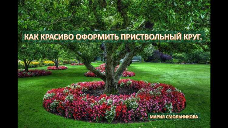 Чем засадить границу русла каменного ручья Чем засадить границу русла каменного ручья