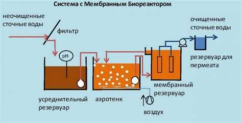 Причины сбоев в работе бактериальных систем и способы их стабилизации