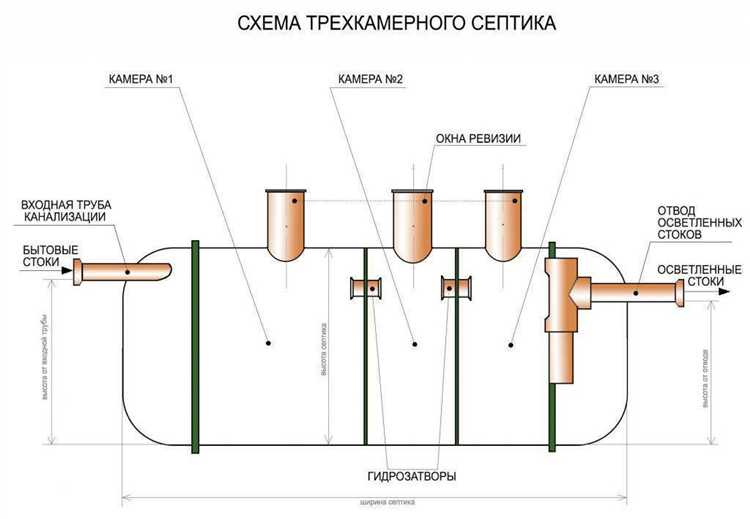 Как выбрать подходящие бактерии для конкретной системы