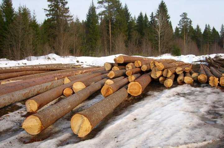 Обработка смолистой поверхности перед склеиванием и покраской