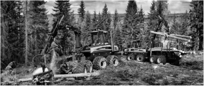 Учет структуры волокон при резке и фрезеровке хвойной древесины