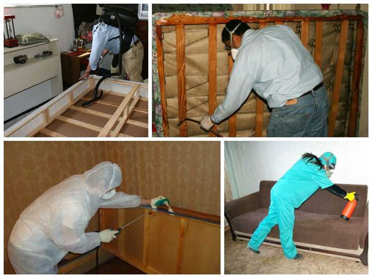 Подготовка деревянной поверхности: шлифовка, обеспыливание и обезжиривание