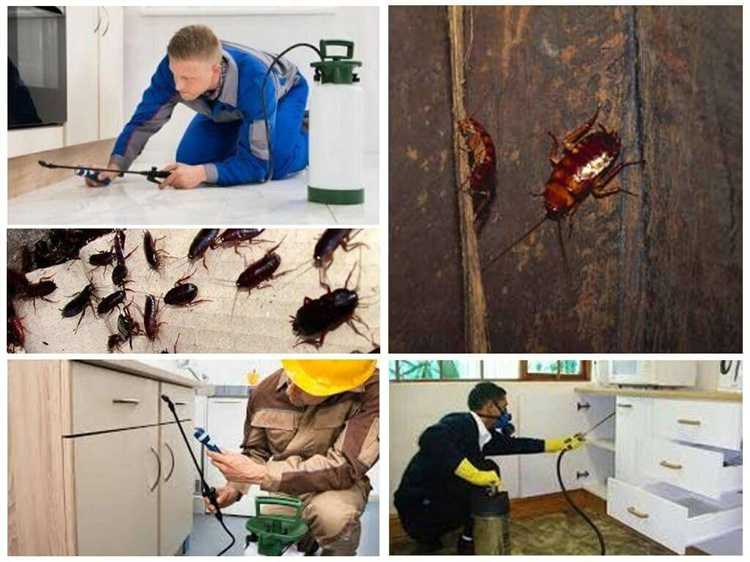 Выбор подходящей морилки: виды, составы и особенности применения