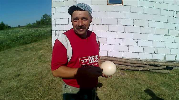 Разведение домашних животных и птиц для получения дохода