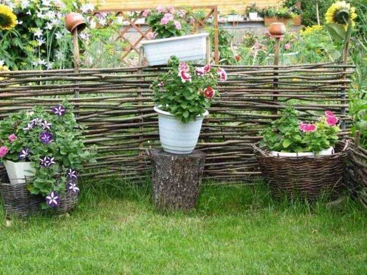 Комбинирование цветов и овощей для декоративного огорода