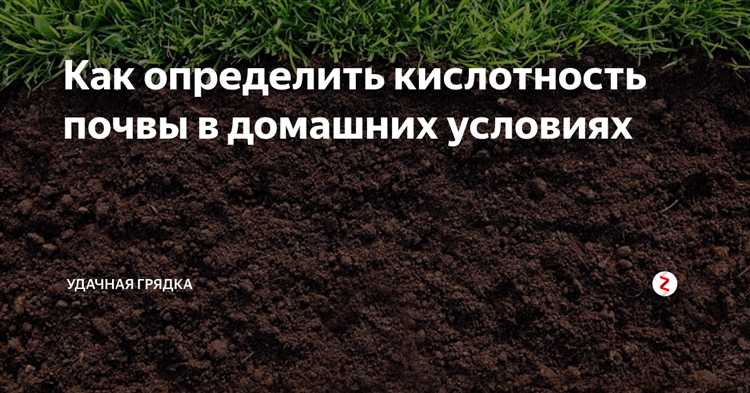 Как интерпретировать цвет раствора после варки свеклы