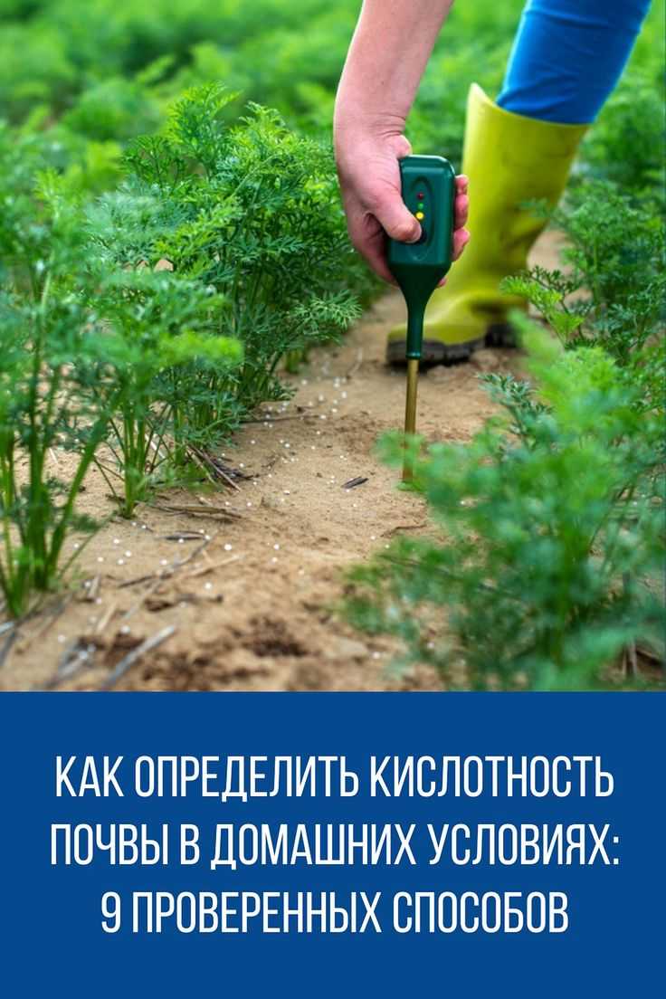 Как определить кислотность с помощью уксуса и соды