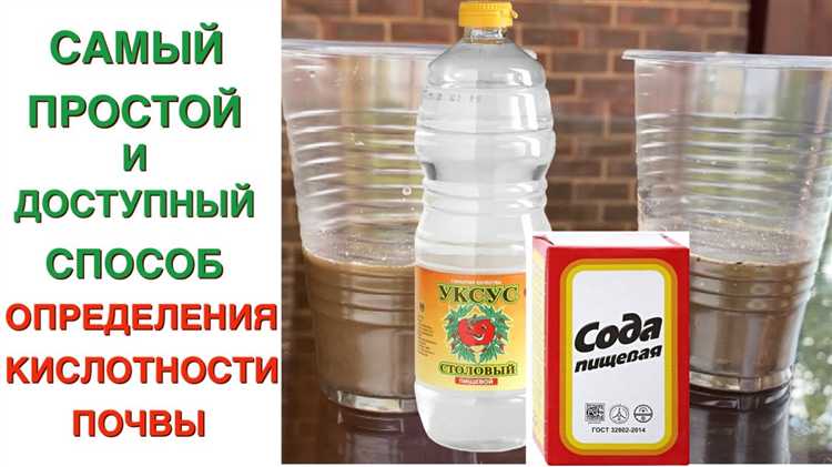 Как определить кислотность почвы в домашних условиях Как определить кислотность почвы в домашних условиях
