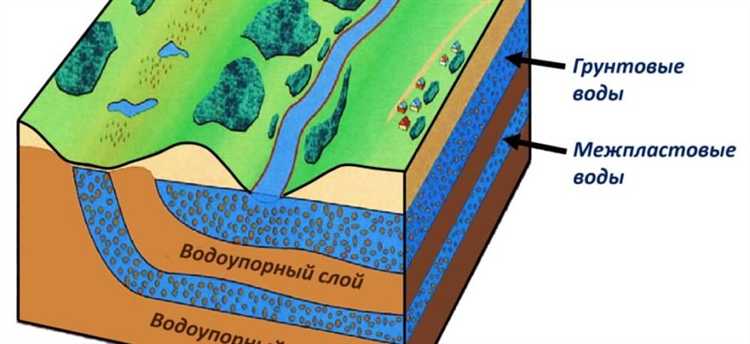 Какие луговые травы растут только при близких грунтовых водах