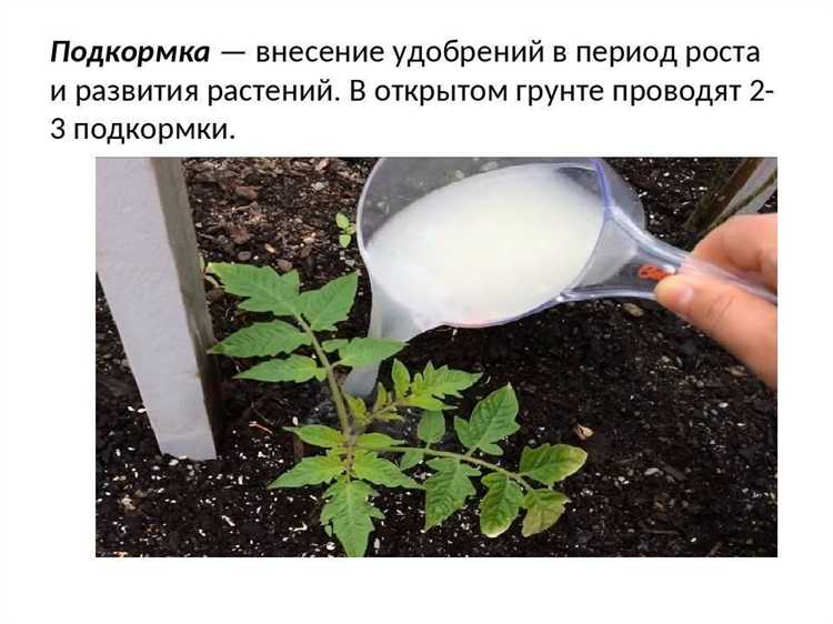 Правила приготовления рабочего раствора с лимонной кислотой