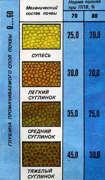Сколько воды требуется на квадратный метр газона