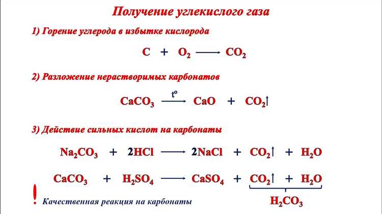 Как и зачем растениям нужен углекислый газ в домашних условиях