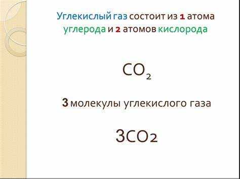Ошибки при домашнем получении CO₂ и как их избежать