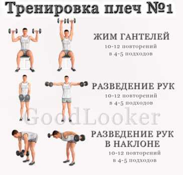 Режим переворота яиц: частота и способы