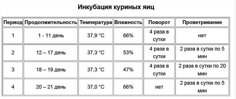Контроль развития эмбрионов на разных этапах