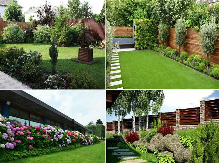 Оптимальное расстояние между туями при посадке у забора