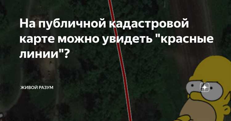 Как скачать участок с отображением красных линий в формате PDF или PNG
