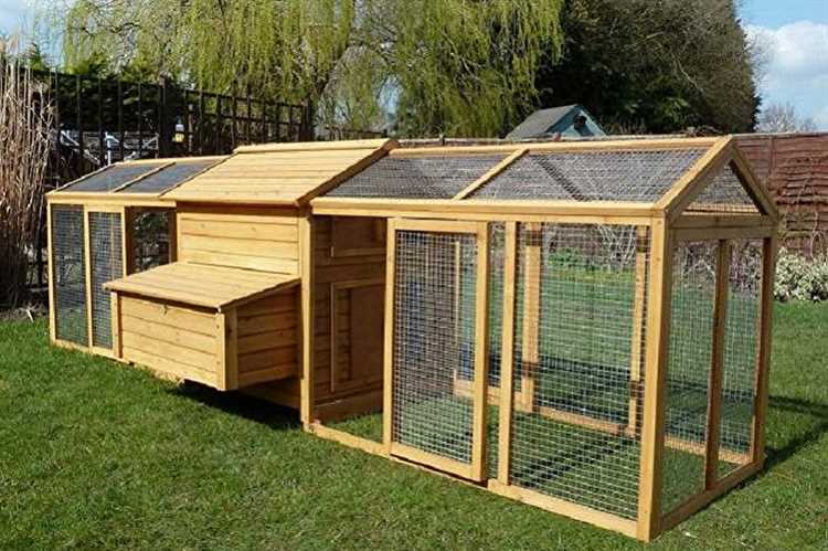 Расчёт оптимальных размеров курятника на 5–10 кур