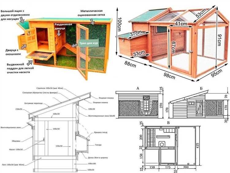 Как построить курятник своими руками фото