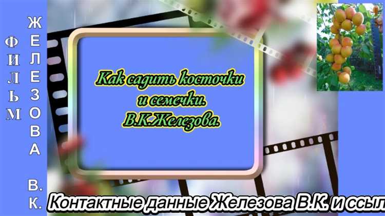 Разметка места крепления косточек на ткани