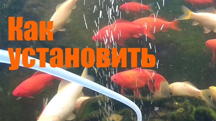 Как притопить шланг для аэратора в пруду
